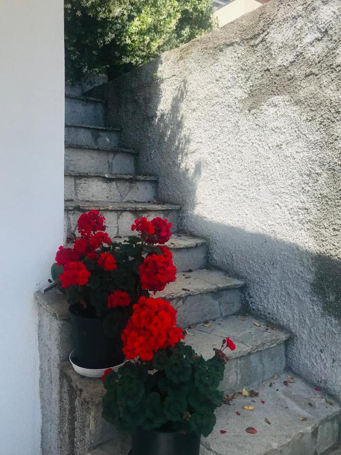 Villa Teresa Casarza Ligure Dış mekan fotoğraf