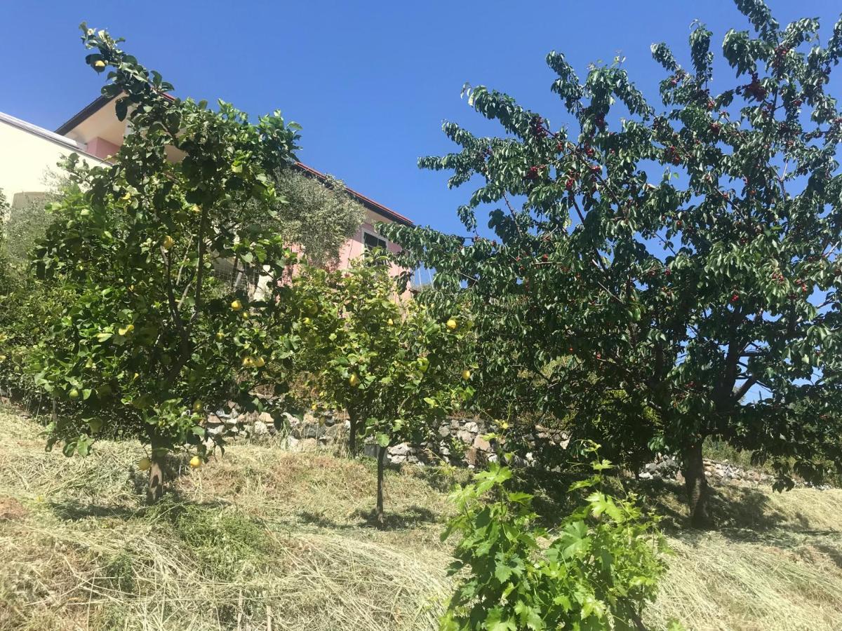 Villa Teresa Casarza Ligure Dış mekan fotoğraf