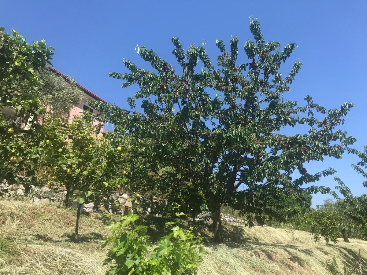Villa Teresa Casarza Ligure Dış mekan fotoğraf