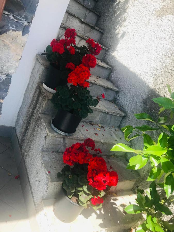 Villa Teresa Casarza Ligure Dış mekan fotoğraf